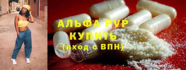 a pvp Белокуриха